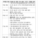 11월 11~15일 주간 분석 및 다음 주 전망