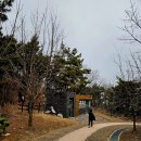 대부해솔길 6-1코스(순환코스) 이미지