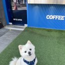 커피사피엔스 등촌 데시앙플렉스점 이미지