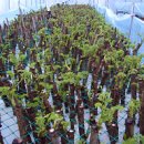 이봉수농장 이미지