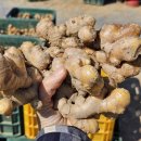 (주)씨알팜 이미지