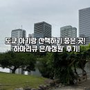 은사랑 - 창원시 진해구 벚꽃로 74 | 도쿄 아기랑 산책하기 좋은 곳! '하마리큐 은사정원' 후기!