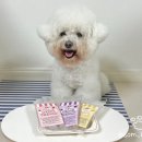 구떼포유 이미지