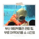 국립해양박물관 화장실(외부) | 부산국립해양박물관 아쿠아리움쇼 시간표, 1박2일부산여행