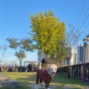 포동 - 종로구 새문안로5길 19 | 포동