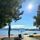 남해 금빛 | 경남 남해 캠핑장 | 남해 힐링국민여가 캠핑장 b3 후기 1박 2일 숲•바다에서