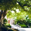 공세리마을 이미지