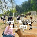 양떼마트 | 가평 1박 2일 여행 코스 추천 5월에 떠나기 좋은 국내 여행 (알파카한테 침 맞은 썰)