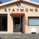 스테이몽 펜션 이미지