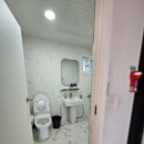 자니노니 마시안점 이미지