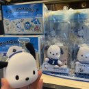 지에스25 춘천스무숲점 | [스무숲 카페/춘천 이디야] 포차코 멀티 파우치 할인받아 구매한 후기