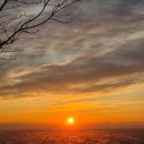 약수식당 | [청송맛집] 경북 청송 닭불백숙 맛집 '신촌약수식당' 내돈내산 후기