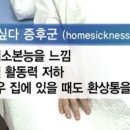 일상수집가 이미지