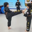 경남 합기도 네이버블로그