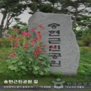 만석 어린이공원 이미지