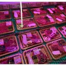 윤가네식당 이미지