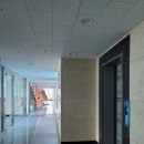 에이스복싱 이미지