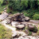 대자연정수기 이미지