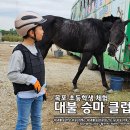 대불스포츠클럽 주차장 | 목포 초등학생 1학년 승마 체험/수업 대불 승마장