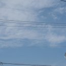 피자리아고 이미지