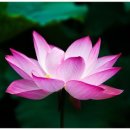 아시아드 요양병원 이미지