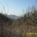 안심산 둘레길 이미지