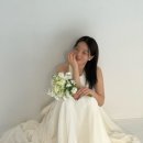 팔레스장여관 | [결준 1탄] 부산 알마스튜디오 하프상품 웨딩촬영 후기