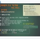 날개달기레전드