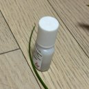 터미널시장 | 강남고속터미널 꽃시장 조화시장 웨딩촬영 셀프부케 후기 (ft.블랙드레스&amp;빨간장미)