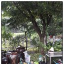 황토방공인중개사사무소 이미지