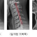 거창의원 이미지