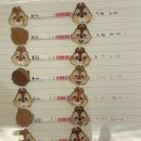 율하별산부인과의원 이미지