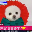 가모스타그램 이미지