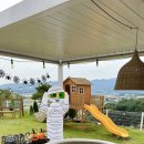 비행기나무 이미지