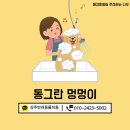 동그란 멍멍이 | [상주 반려동물미용] 반려견을 위한 상주애견미용샵 추천! 동그란 멍멍이