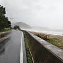 울진 해파랑길, (8) 매화면 오산항과 덕신, 오산 해변 이미지