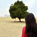 조은마음도서관 | Mein Frühling, Alles wird gut