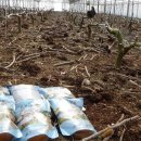 성미축산 이미지