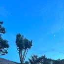 냇가민박 이미지