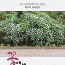 노작# 연합뉴스