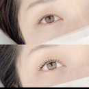 벨르앤제이(Belle&J) 네이버블로그