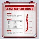 솔담한방병원 이미지