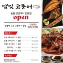별빛고등어