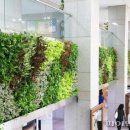 안양시청.시의회청사 이미지