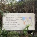 경인라이프 | 흥선대원군의 거처 운현궁 &amp; 인사동 경인미술관 카페 방문 후기