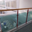 중정 | 경기도 군포시 도서관 중정안전망 시공 후기