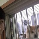 남주중학교 | 진짜용기내서쓰는거임