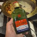 수지성복SL동물병원 | 251220 | 둘째야 하루만 더 버텨줘