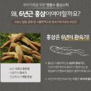 명품수의 | 우리 가족을 위한 선물, 명품수 홍삼스틱 리얼 후기