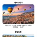 월드체인 이미지